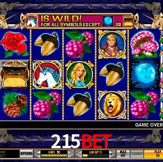215bet Salvador - Bonus Stats